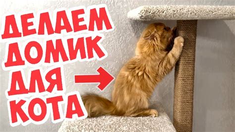 Как сделать домик для кота? Когтеточка своими руками - YouTube