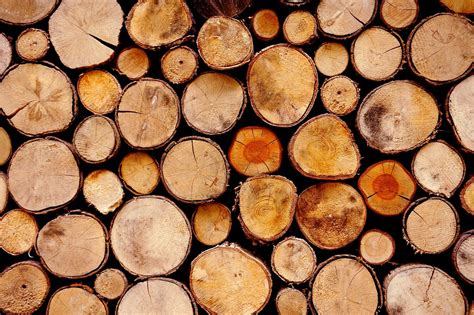 hout boomstammen timmerhout bruin gratis foto op pixabay pixabay
