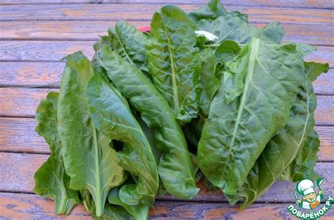 Мангольд на зиму – кулинарный рецепт