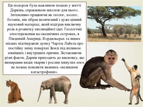 Еволюція. Дарвін. - презентація з біології