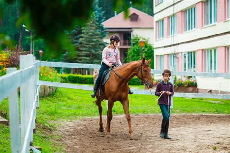 Конный лагерь в Подмосковье, обучение верхвой езде.