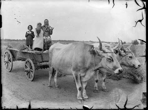 Welcome the Costică Acsinte Archive to The Commons! | Flickr Blog