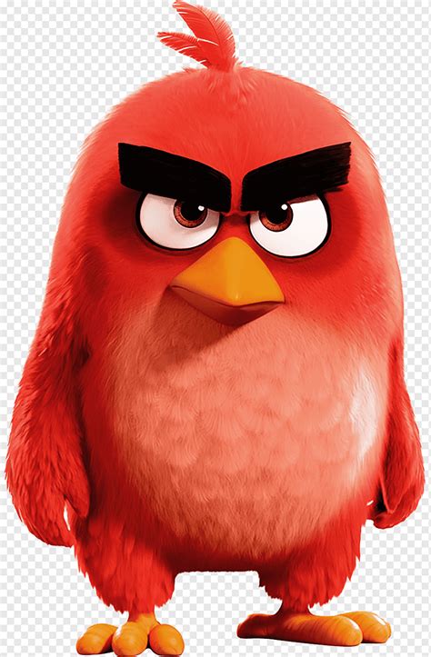 Angry Birds Evolution Christmas Event 2024 - Christmas Decor Trends 2024