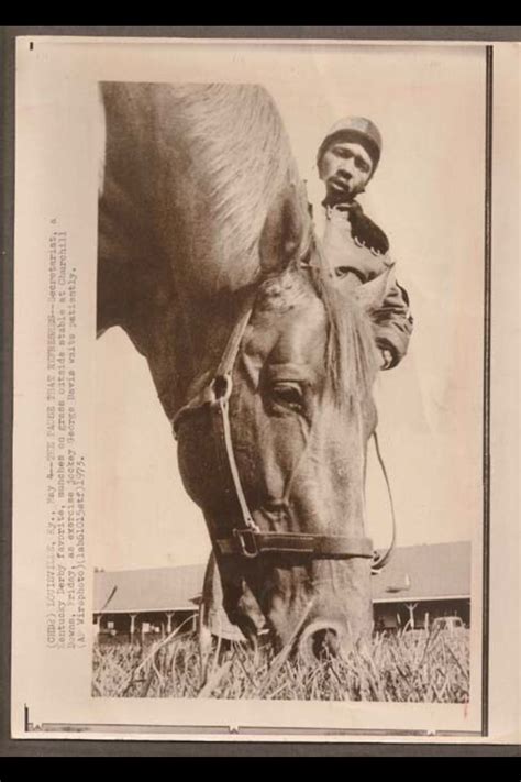 Pin on Racehorses of Stature | Secretariat horse, Beautiful horses ...