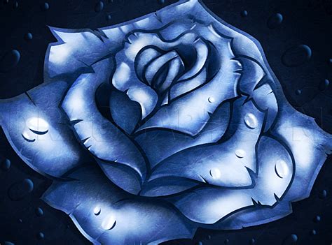 draw  blue rose step  step drawing guide  dawn dragoart