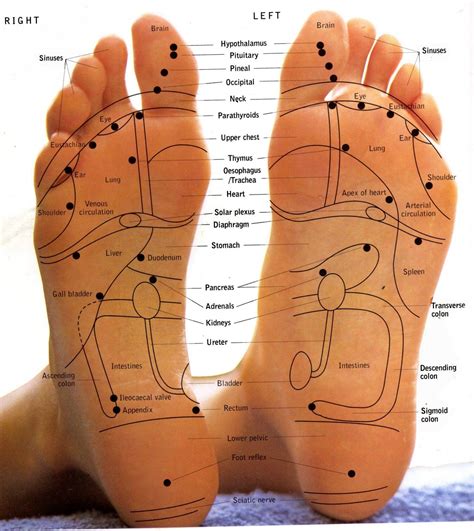 Foot Pain Massage Points at Brad Hewitt blog