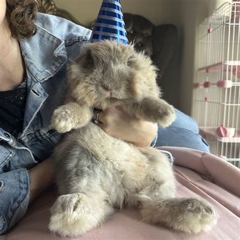 Post from Lily Dior Official