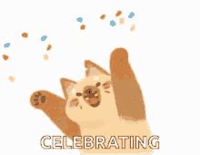 Celebration GIFs | Tenor