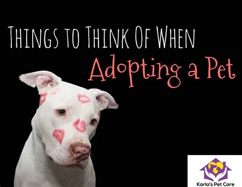 Things to Consider When Adopting a Pet - Tips from Karla's Pet Care