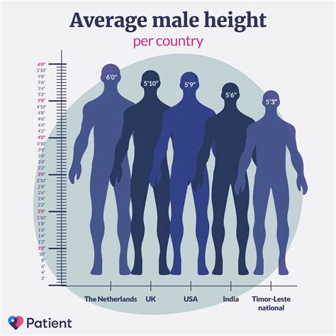 Average American Woman Height