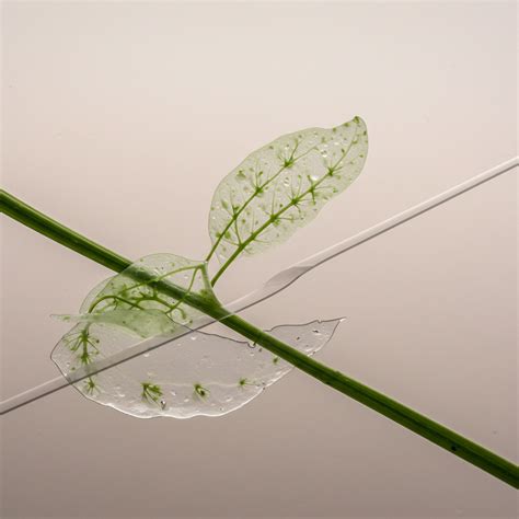 What Are the Common Mistakes Made by Novice Minimalist Investors? → Learn