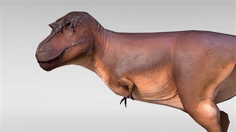 Paleo Accurate T 3D - TurboSquid 1625561