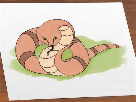 ways to snake overweight step by step 5