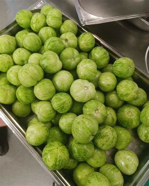 Shitpost Bot 9000 - #hotgirls #hotbabes #sweetgirls #sexybabes #