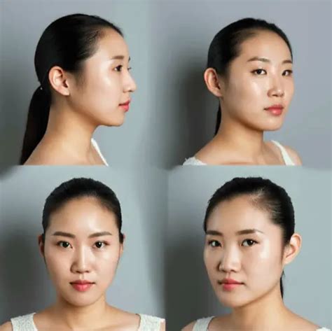 face model human face reference app