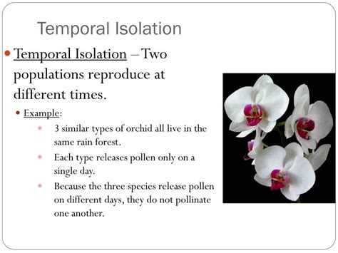 isolation  populations powerpoint