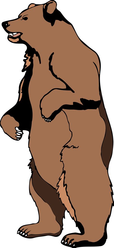clip art grizzly bear