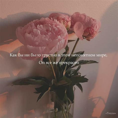 Теплые цитаты 💛#Altynaí_say | Вдохновляющие цитаты, Цитаты, Вдохновляющие
