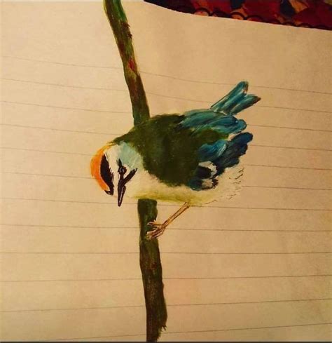 artwork examples woodland nature crafts