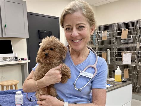 Why buy a dog from HappyPaw — Atlanta Goldendoodle Puppies for Sale