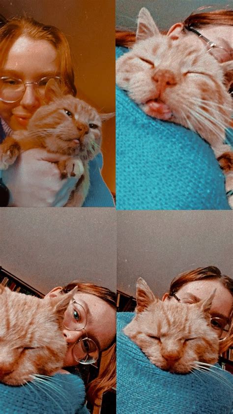 Я и котик | Animals, Cats, Instagram