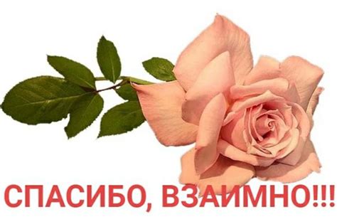 Интересные новости | Благодарственные открытки, Открытки, Счастливые ...