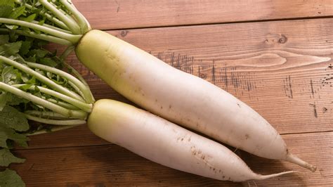 Japanese Radish Recipes - Everything Radish