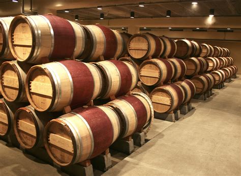 Nuevas maderas para vinos - Mundoagro