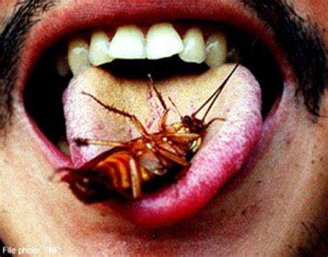 Cockroach Causes Man To Lose Hearing After It Crawled Into His Ear In ...