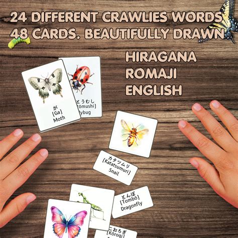 Japanese English Study Bugs and Insects Flashcards - Hiragana Cards