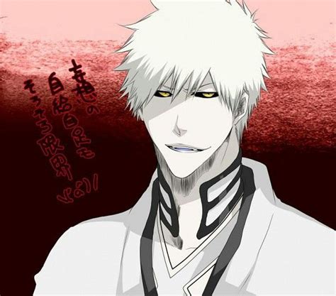 Hichigo | Bleach | Bleach anime, Bleach anime ichigo, Bleach characters