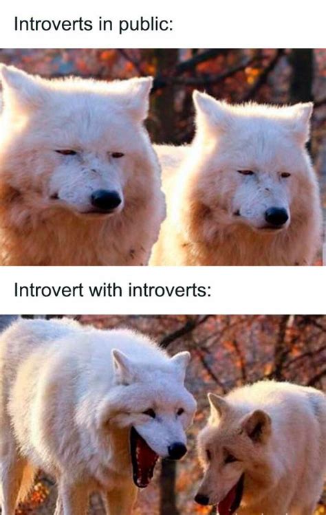 Wholesome Memes Make Me Feel Warm Inside