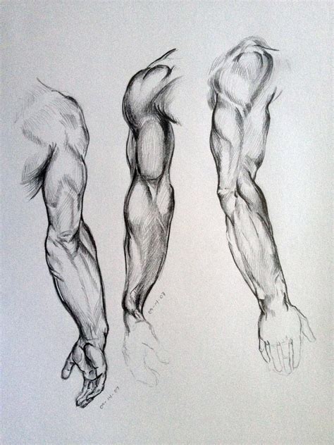 Arm Sketches by AdanMGarcia on DeviantArt