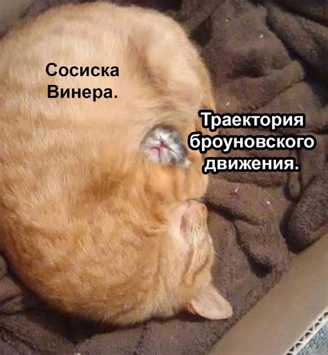 Бозе-энштейн в карбюраторе | Пикабу