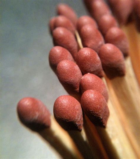 Macro ( | Macro photography nature, Close up photography, Texture ... 