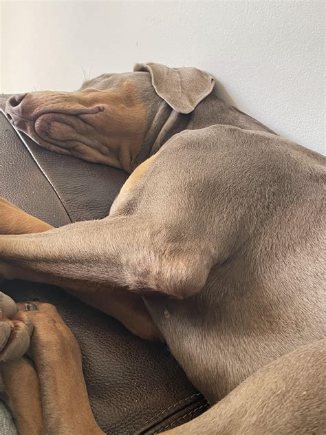 Flaky skin ? Anyone know what it is? Why it happens? And what to do