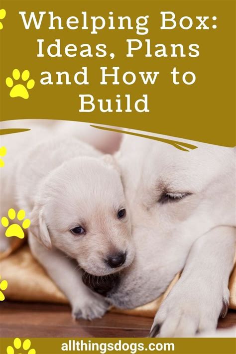 Best 11 Whelping Box: Ideas, Plans and How to Build – Artofit