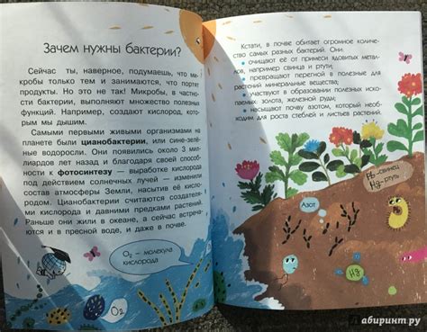 Книга: Почему мы болеем? - Анастасия Мещерякова. Купить книгу, читать ...