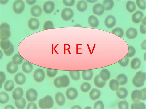 Autor: PaedDr. Hana Hrubcová Název:VY_32_INOVACE_3B_13_Krev Téma: Krev ...