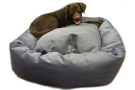 labrador retriever dog bed  mammoth