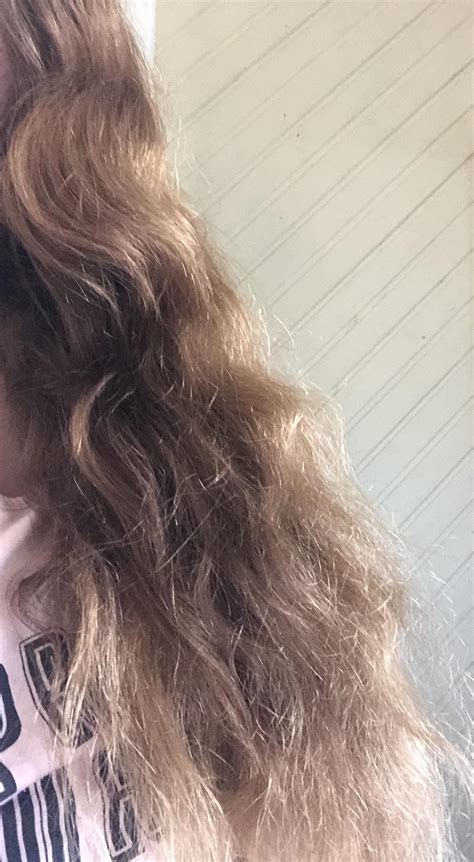 My hair looks like shit. Oily on top and always dry and frizzy at the