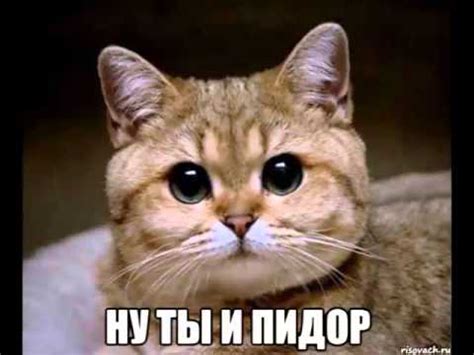 Ну ты пидор - YouTube