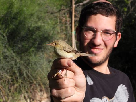 Tu Bishvat at the Jerusalem Bird Observatory - Fun In Jerusalem