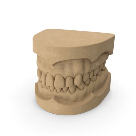 dental mold png images psds   pixelsquid sf