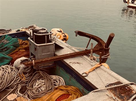 100+ Best Anchor Photos · 100% Free Download · Pexels Stock Photos