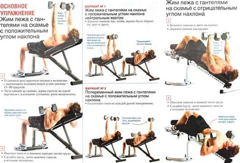 Жим гантелей на наклонной скамье. В этом случае идет проработка верхних ...