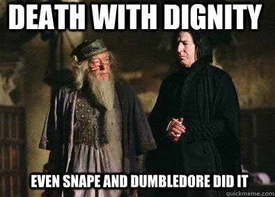 Dumbledore and snape memes | quickmeme