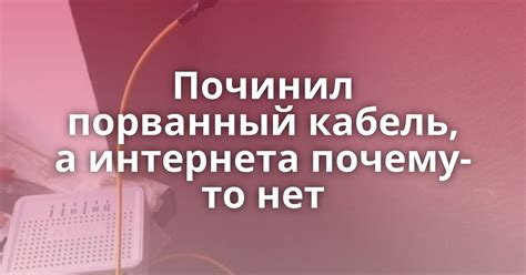 Починил порванный кабель, а интернета почему-то нет - Поросёнка.нет