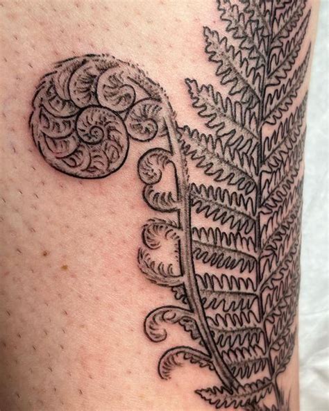 Anastasia Marie Gnau on Instagram: "Fiddlehead fern for Meg" | Fern ...
