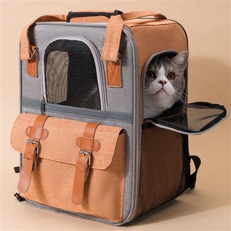 cat backpack carrier video  james goldsbrough blog